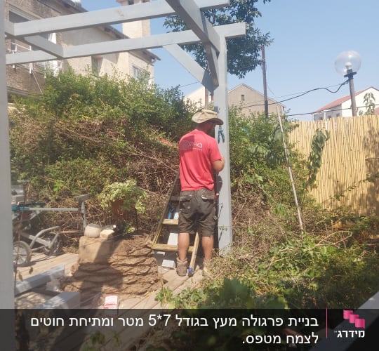 אדם עובד על פרגולה מעץ בגינה עם צמחים